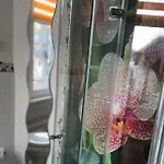 아파트 Domizil Naunik 나움부르크